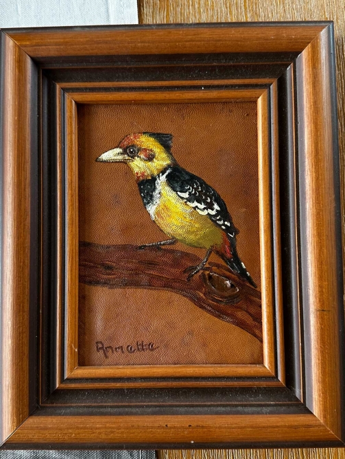 Crested barbet